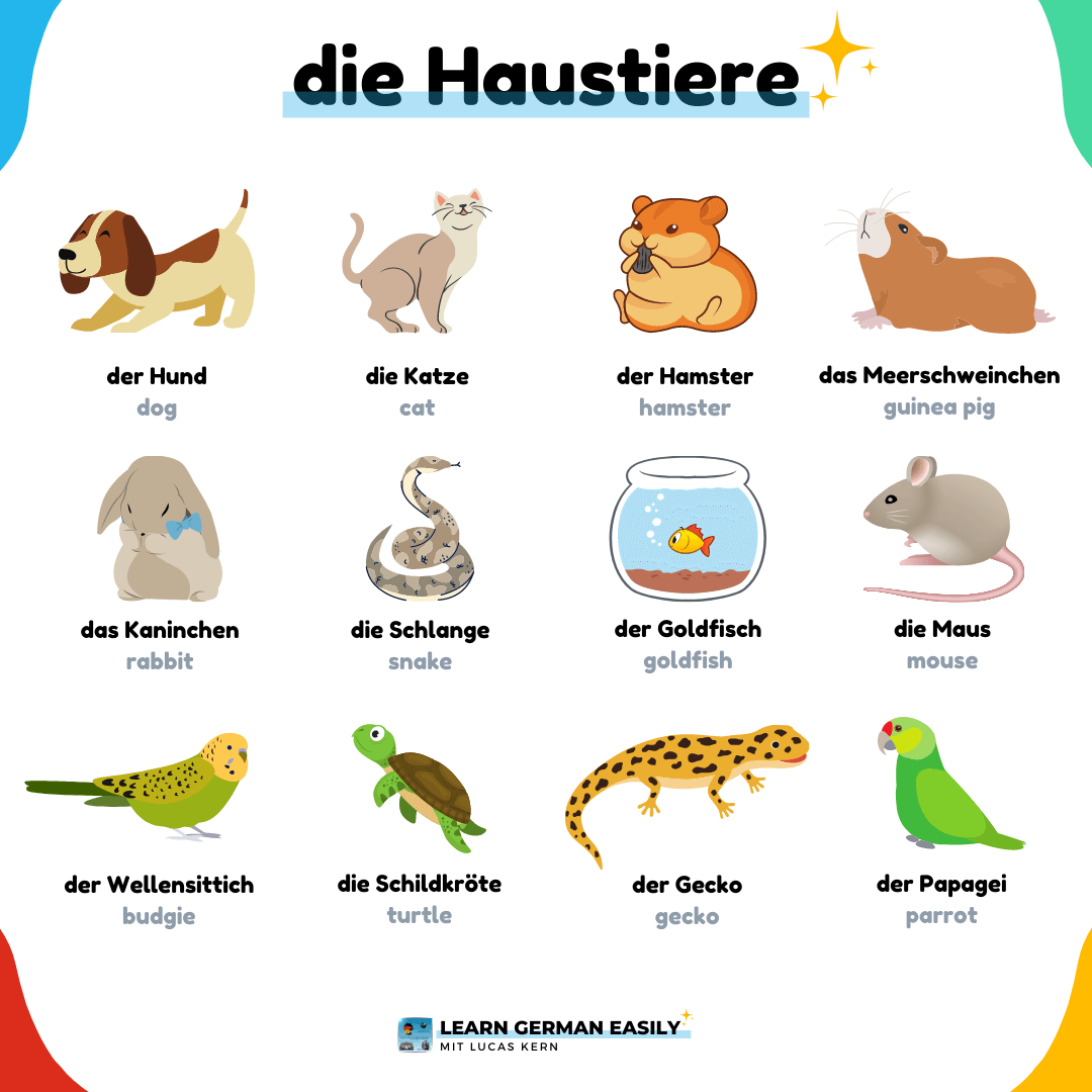 die Haustiere - pets in German