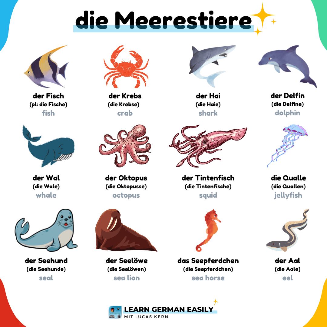 German vocabulary - die Meerestiere