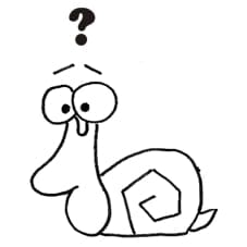 Schnecke
