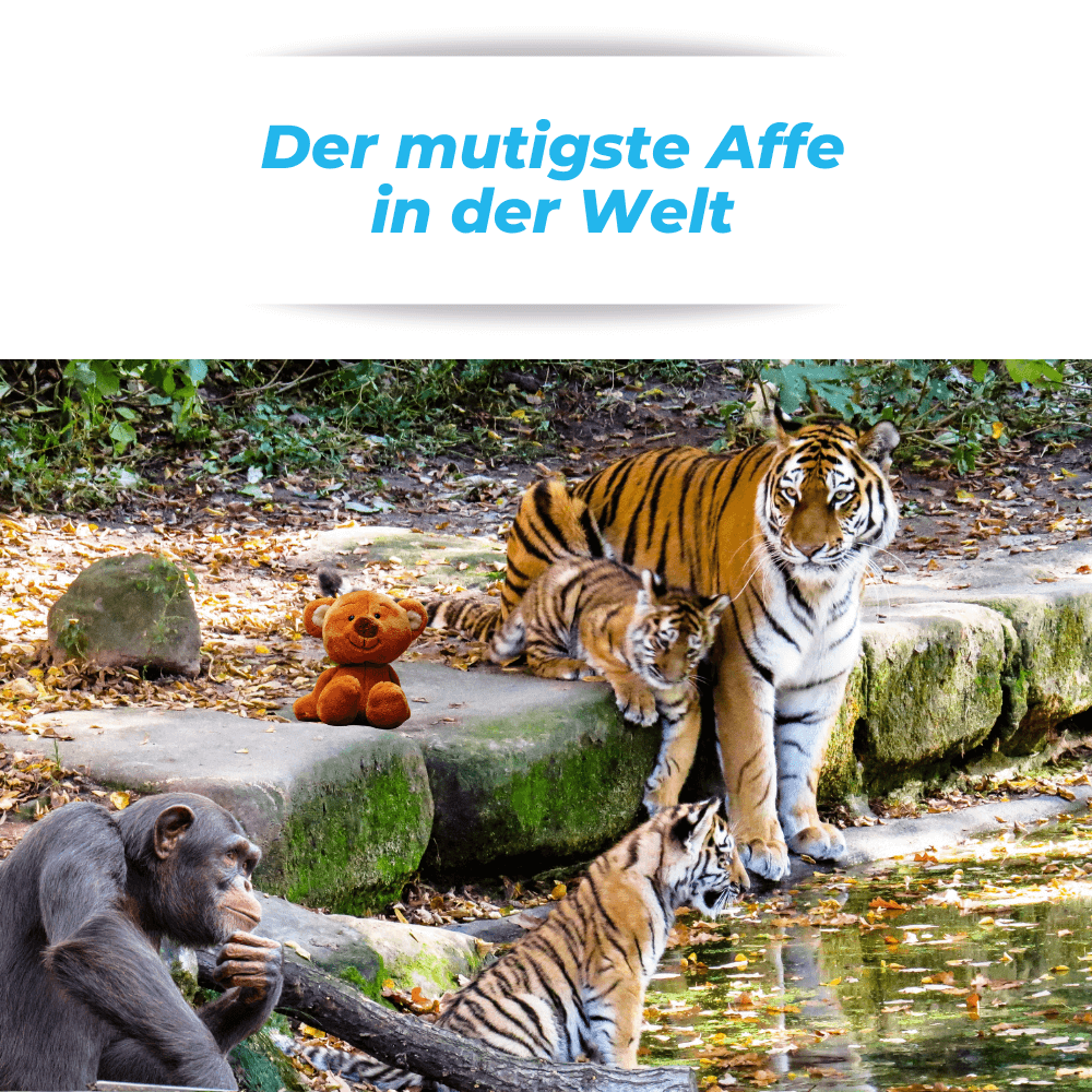 German Audio Stories A1-B2 German Audio Stories A1-B2